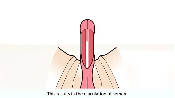 HD The male orgasm explained drive Tube