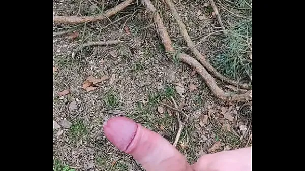 HD jerking off in forest驱动管