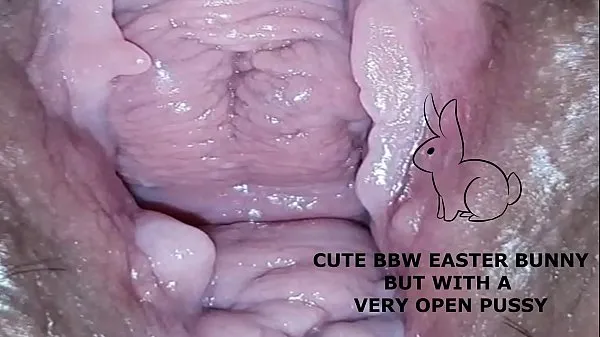 HD Cute bbw bunny, but with a very open pussy drive Tube
